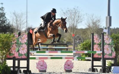 Canadian Warmbloods continue to excel south of the border!