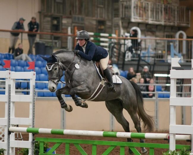 Successful Second Spring Riding Horse Sale