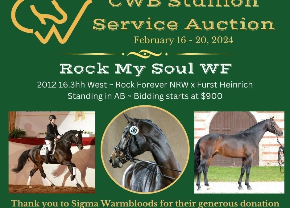Annual Stallion Service Auction