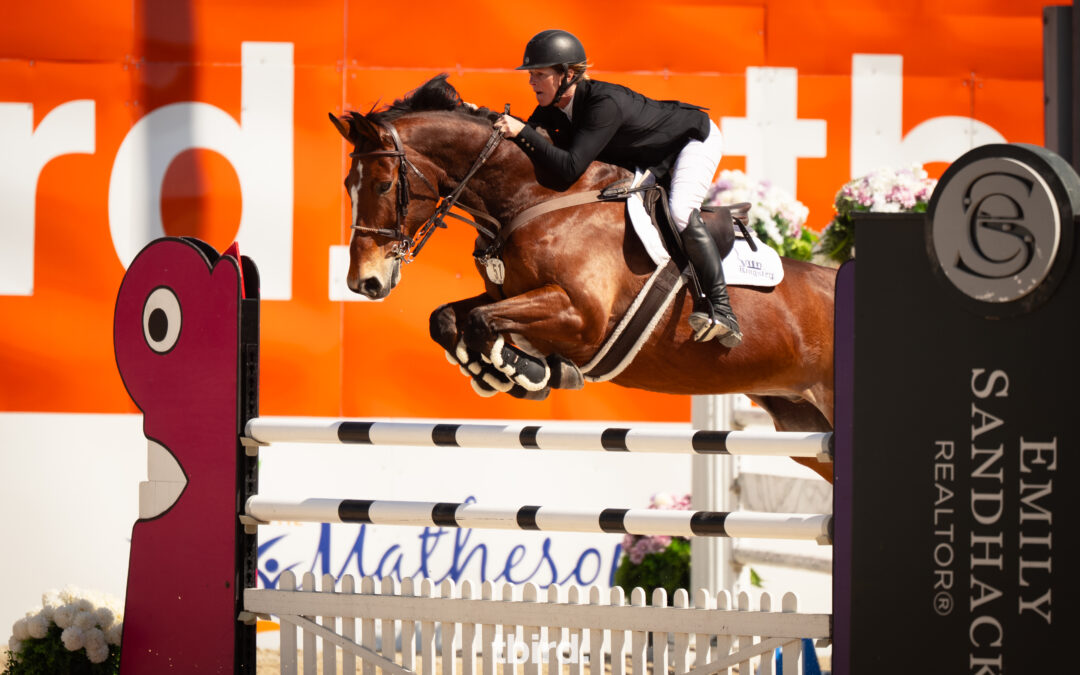 Canadian Warmblood WH Corona Shines at Thunderbird Spring Festival
