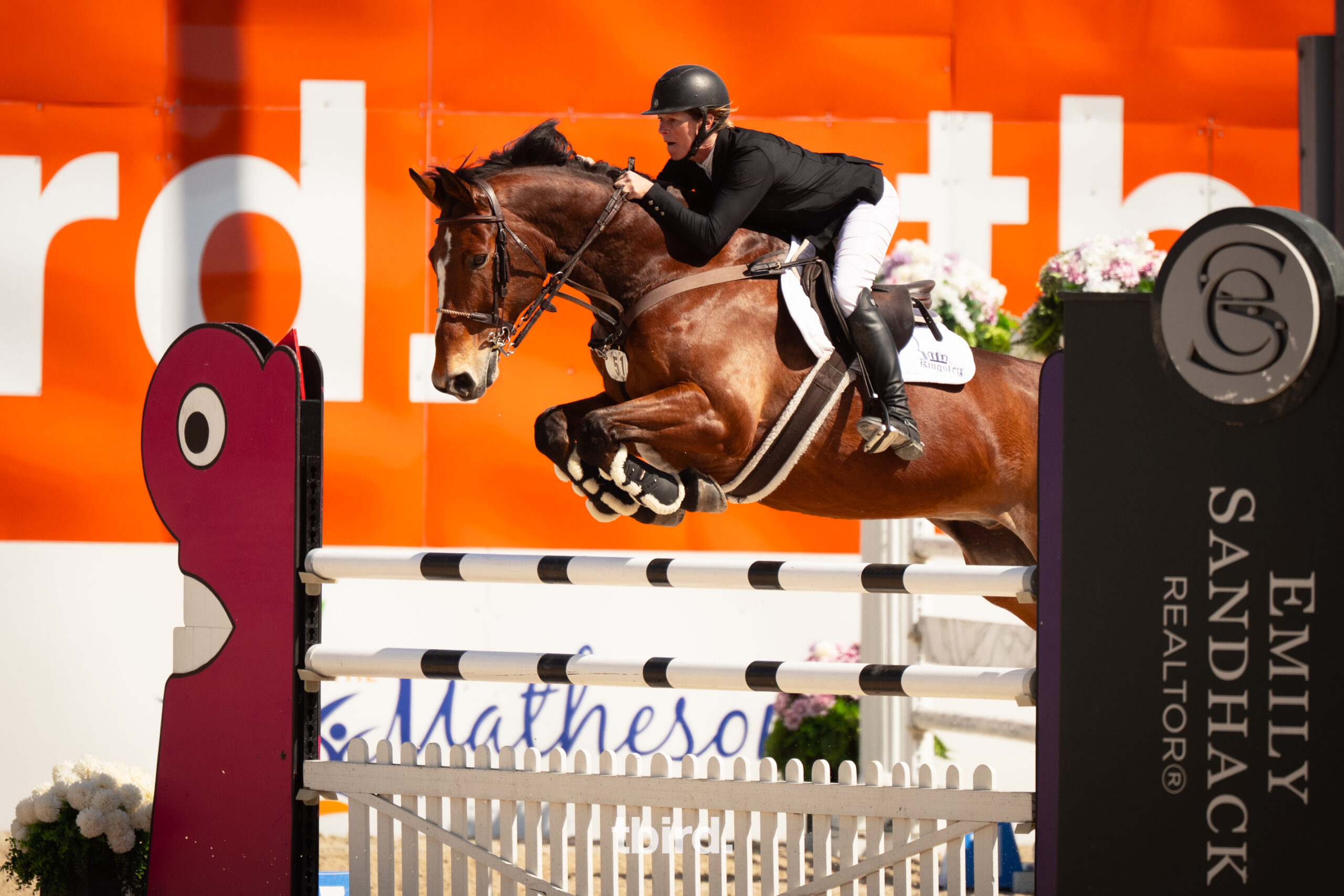 Canadian Warmblood WH Corona Shines at Thunderbird Spring Festival