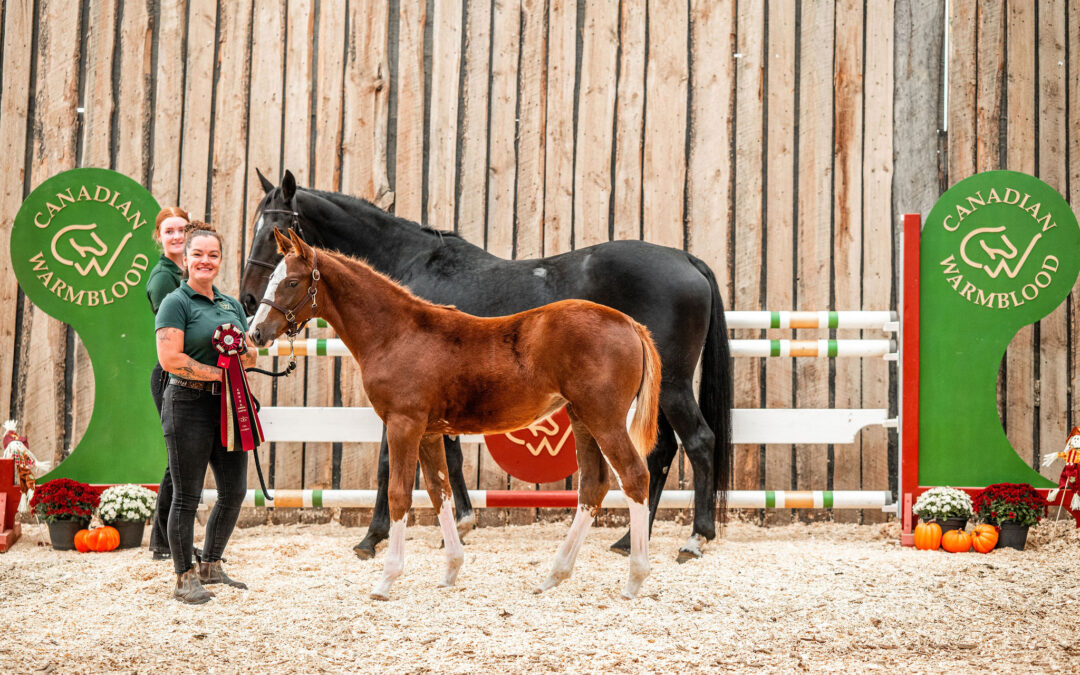 Alberta Breeders Show