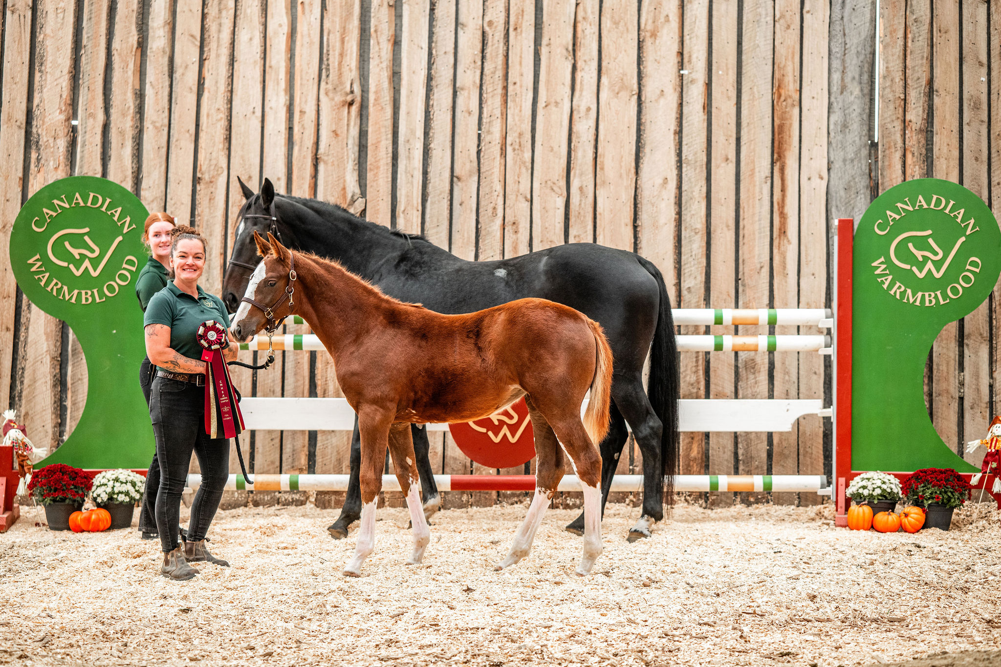 Alberta Breeders Show