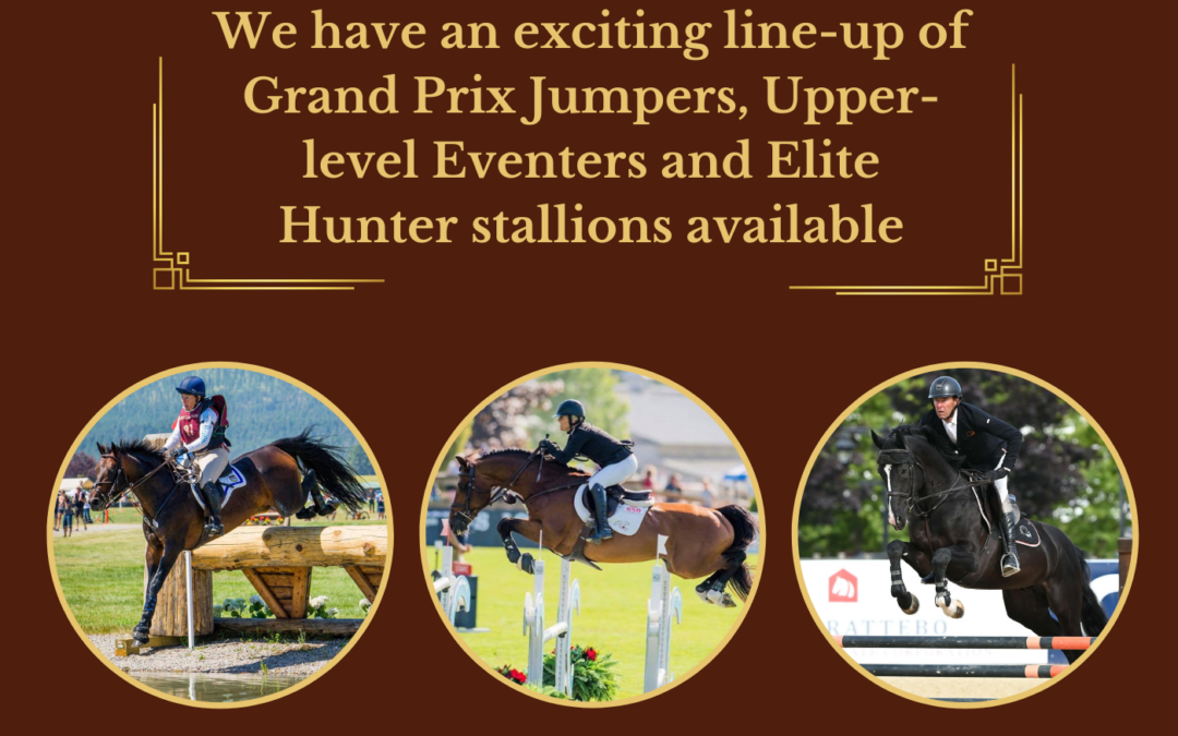 Round 2 of the 2026 SSA