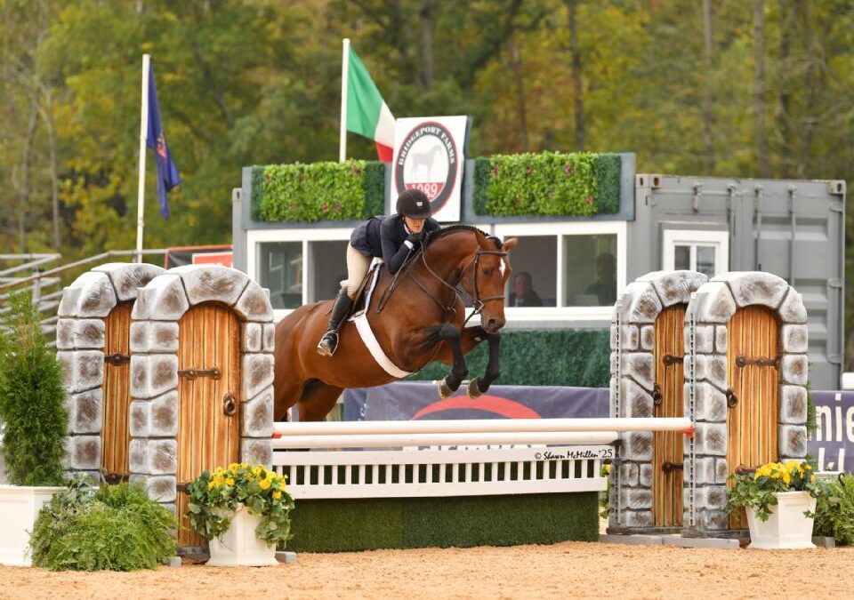 Beverly Blues Wins High point North American-Bred Horse Award