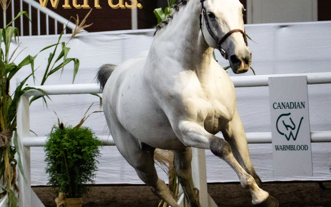 Advertise with Fall Classic Breeder’s Sale